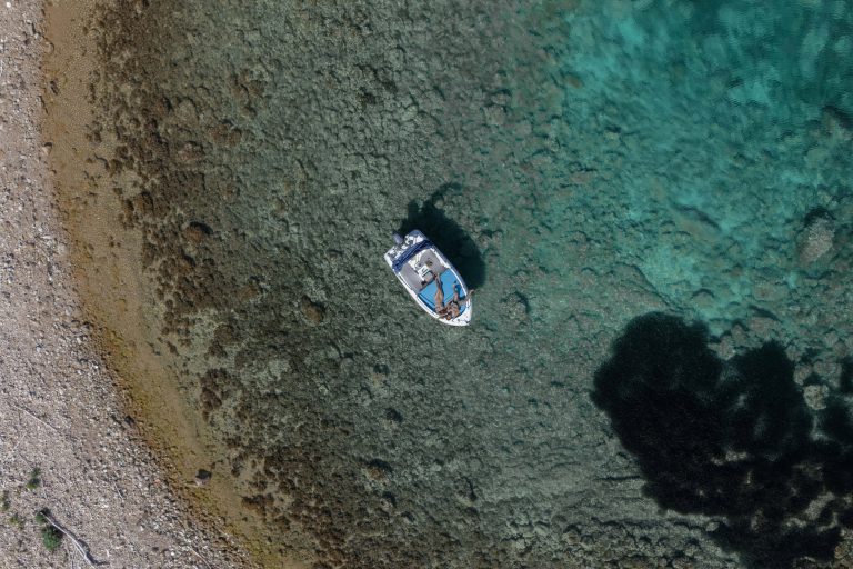 CROTOBOAT-6